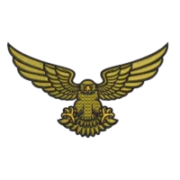 Flying Hawk